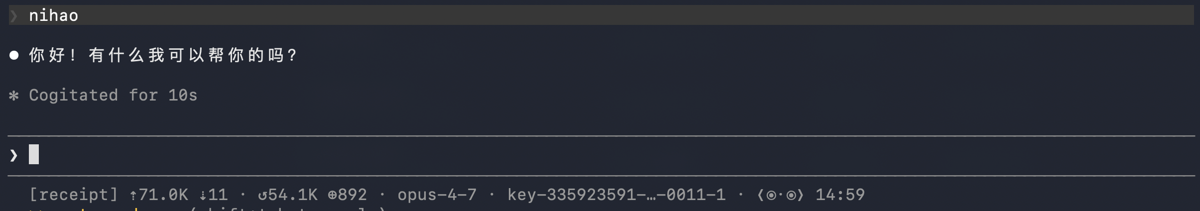 Cost receipt printed in terminal after a Claude session