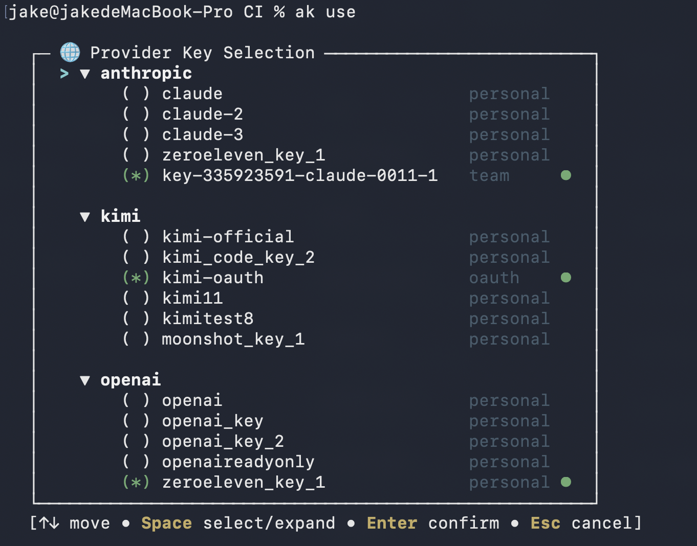 CLI aikey use command